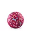 Crocodile Creek Crocodile Creek | Ball - Jardin des papillons