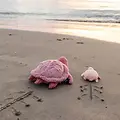 Les déglingos | Les Ptipotos - Pluche Knuffel Sauvenou De Schildpad Moeder En Haar Roze Baby