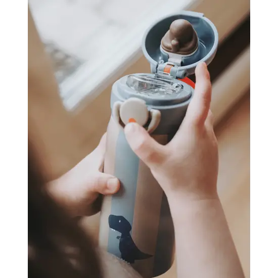 Noui Noui Noui Noui | Isothermische Fles RVS Dino 350ml