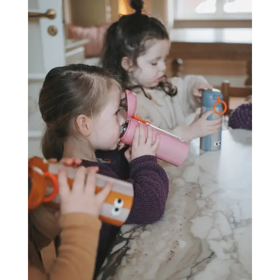 Noui Noui Noui Noui | Isothermische Fles RVS Prinses 350ml