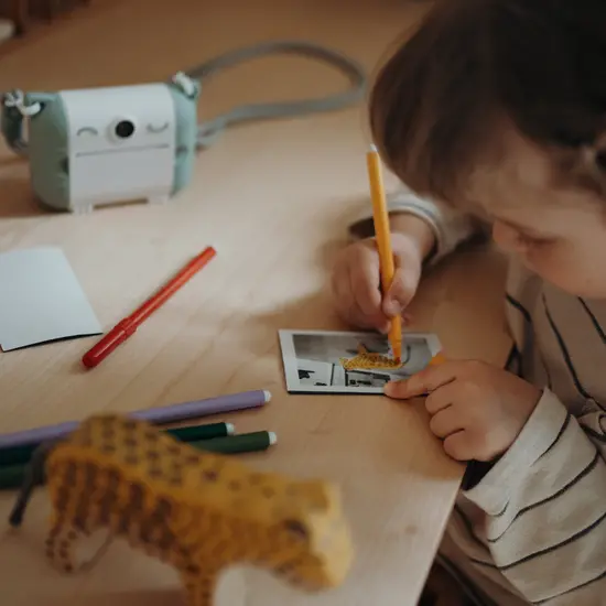 Kidywolf Kidywolf | Kidyroll Gekleurd Papierrollen Voor Kidyprint