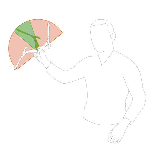 Haba Haba | Terra Kids Boemerang