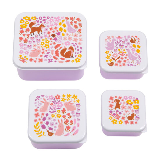 A Little Lovely Company A Little Lovely Company | Lunch & Snack Box Set Bloementuin