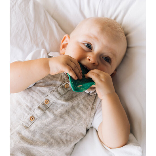 oli&carol Oli & Carol | Chlorophyll Leaf Teether