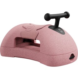 Scoot and Ride My First Lauflernwagen Rose