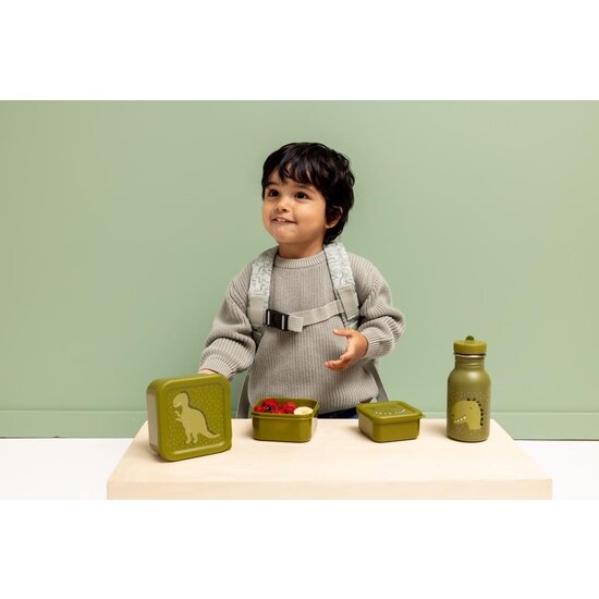 Trixie Trixie | Snack box set - 3-piece - Mr. Dino