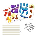 Djeco Djeco - bricoler - Pantins - dinosaures 6-11 ans
