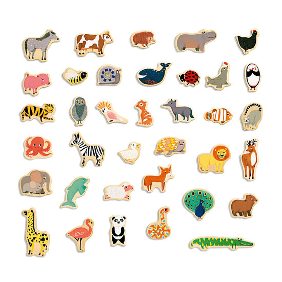 Djeco Magnets - Magnimo - Djeco - 42 pieces