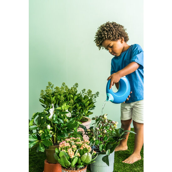 Quut Quut Cana Large Ocean Gießkanne