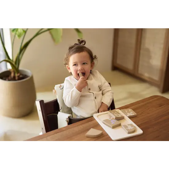 Jollein Jollein Stuhlverkleinerer mitwachsend Nostalgic Ride