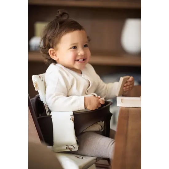 Jollein Jollein Stuhlverkleinerer mitwachsend Nostalgic Ride