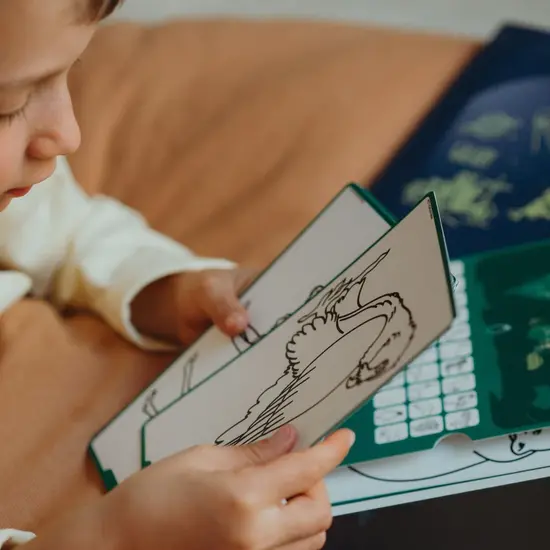 Kidywolf Kidywolf | Recharge Kidydraw - Mini animaux du monde entier et océans & pirates