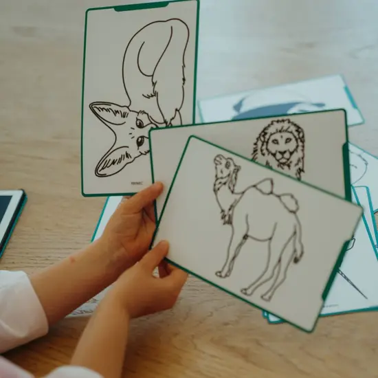 Kidywolf Kidywolf | Nachfüllpackung Kidydraw – Mini-Extra-Karten mit Motiven von Tieren aus aller Welt und Ozeanen & Piraten