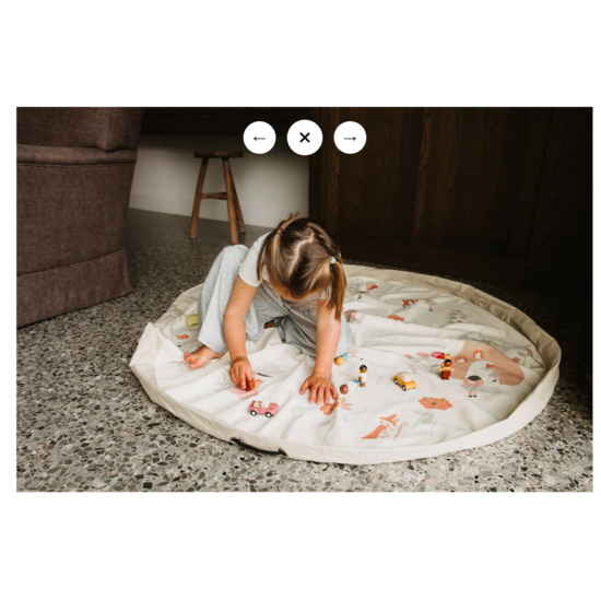 Play and Go Play&Go | Original - Double Print Sac de rangement et tapis de jeu Fairyworld