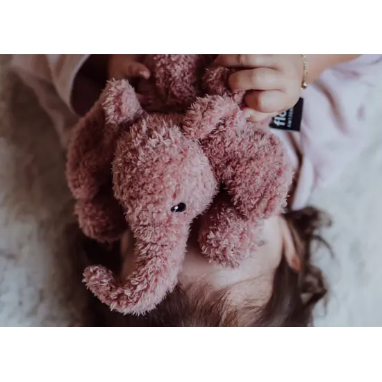 Flow Amsterdam Flow Amsterdam | George Roze - Knuffellampje