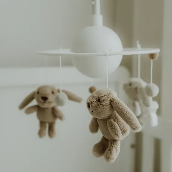 Flow Amsterdam Flow Amsterdam | Milo - Babymobil