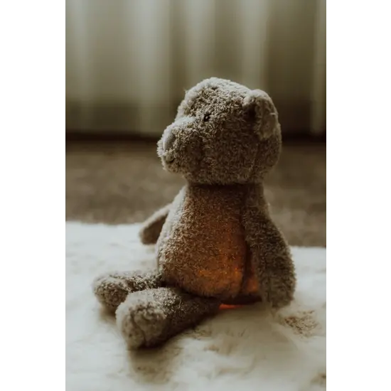 Flow Amsterdam Flow Amsterdam | Lou Grey - Cuddly lamp