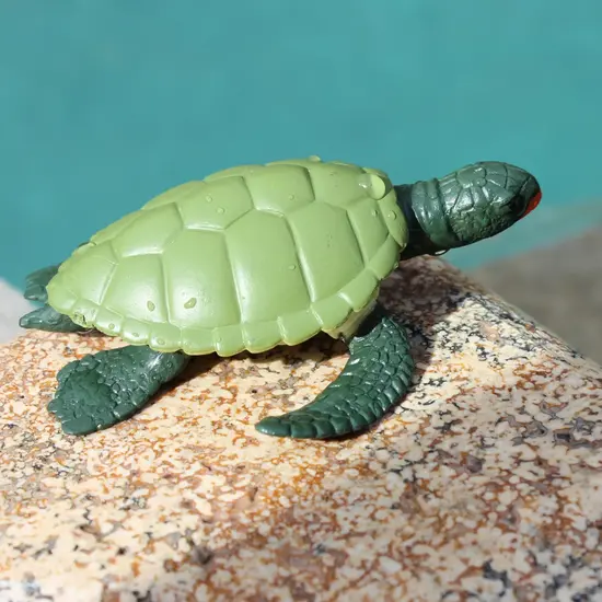 Safari Ltd Safari Ltd. | Life Cycle of a Green Sea Turtle