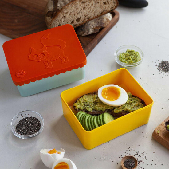 Blafre Blafre | Lunchbox Met 1 Compartiment Papegaaiduiker Perzik + Marineblauw