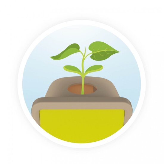 Buki Buki | Jonge Plantjes