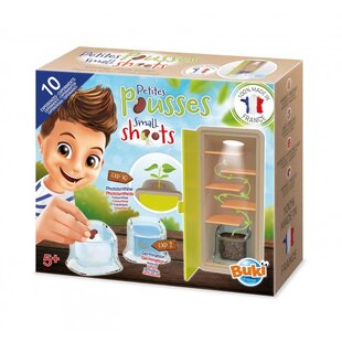 Buki | Petites pousses