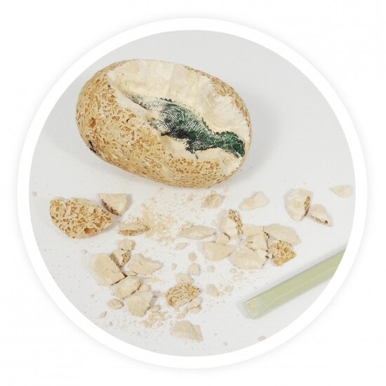 Buki Buki | Dino Eggs