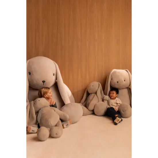 Liewood Liewood | Bernis Lapin Teddy Mist