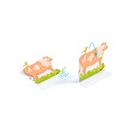 Djeco Djeco | Stickers to Stand Up - Farm