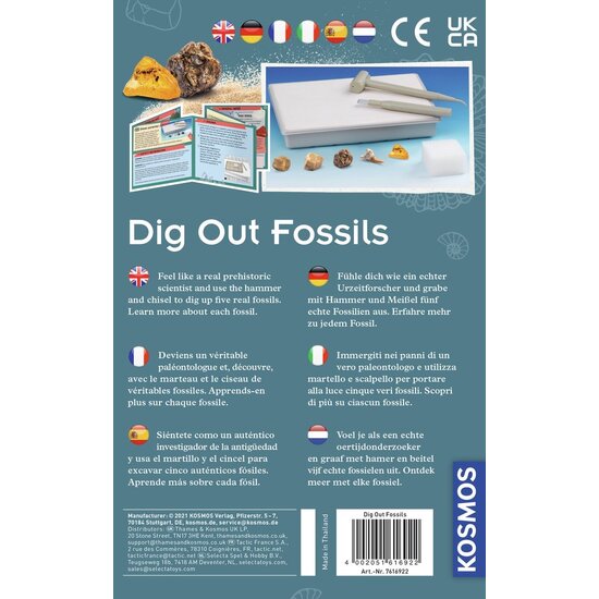 Kosmos Kosmos | Dig Out Fossils