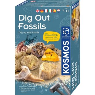 Kosmos | Dig Out Fossils