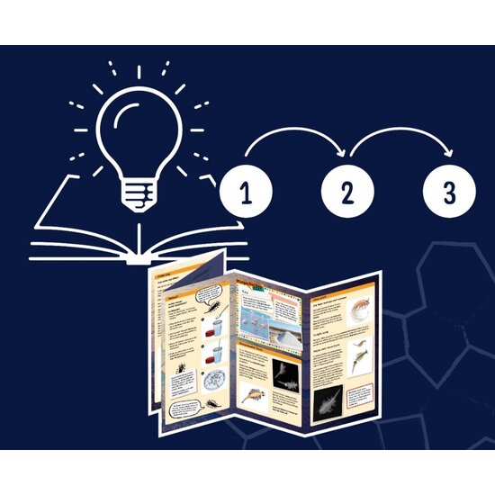 Kosmos Kosmos | Fun Science - Saltwater Creatures