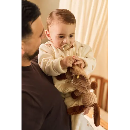 Jollein Jollein | Pacifier cloth Animal Friends