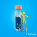 Petit Boum Petit Boum | Sensory bottle Le Petit Prince