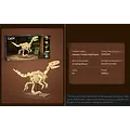 CaDA CaDA | Creative Series - Dinosaur Fossils Velociraptor 256 Stuks