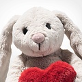 Steiff Steiff | Hoppie Rabbit Love 16cm Light Grey