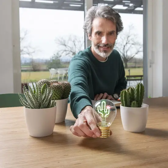 Legami Legami | Lamp Cactus Tafellamp Gloeilamp