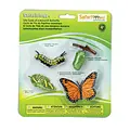 Safari Ltd Safari Ltd life cycle Monarch butterfly