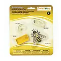 Safari Ltd Safari Ltd life cycle Honey Bee