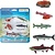 Safari Ltd Safari Ltd. | Levenscyclus Van Een Zalm