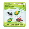 Safari Ltd Safari Ltd life cycle of a ladybug