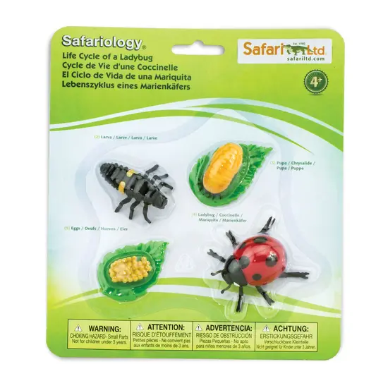 Safari Ltd Safari Ltd life cycle of a ladybug