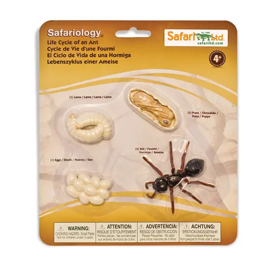 Safari Ltd Safari Ltd. | Levenscyclus Van Een Mier