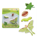 Safari Ltd Safari Ltd. | Levenscyclus Van Een Maanvlinder