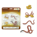 Safari Ltd Safari Ltd life cycle of a worm