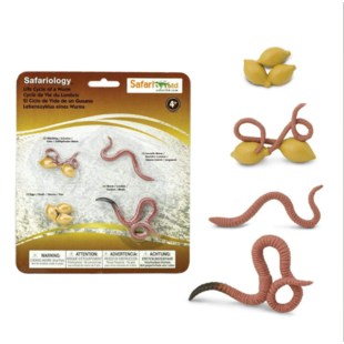 Safari Ltd life cycle of a worm