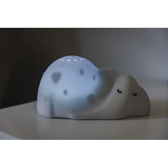 Flow Amsterdam Flow Amsterdam | George – Projektor