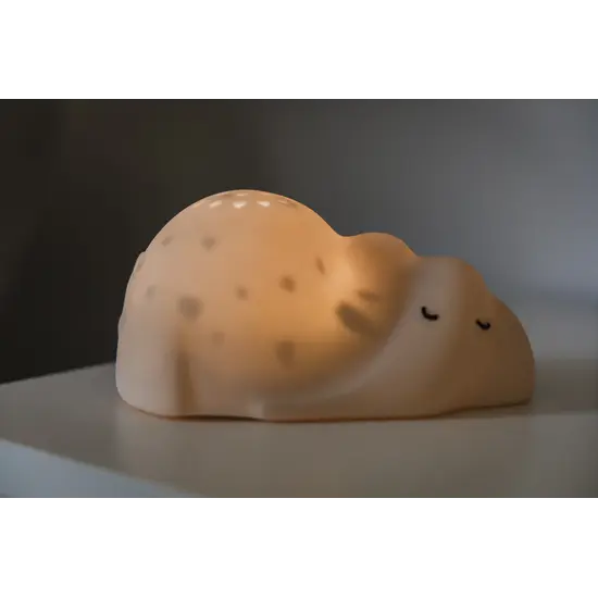 Flow Amsterdam Flow Amsterdam | George – Projektor