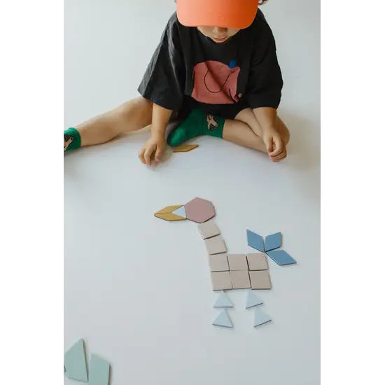 Moes Play Moes Play | Magnetic Puzzle