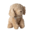 Maileg Maileg | Chiot, petit - Poudre poussiéreuse