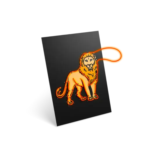 Kidywolf Kidywolf | Kidyneon Kit Voor Lightgevende Wanddecoratie Dieren